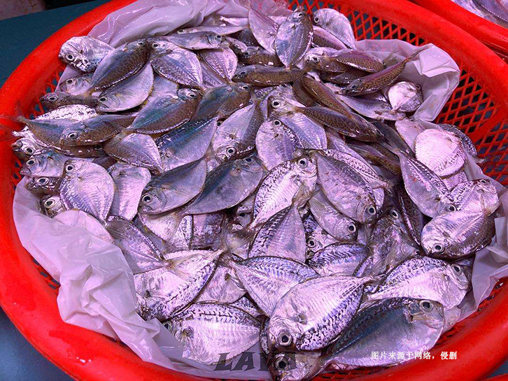 厄瓜多爾冷凍魚(yú)進(jìn)口清關(guān)流程到佛山代理葉子魚(yú)案例